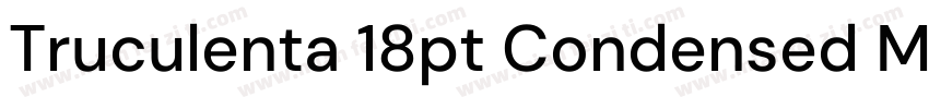 Truculenta 18pt Condensed Medium字体转换